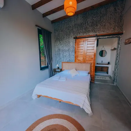 Villa Duru Tas Ev *