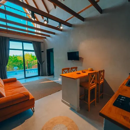 Villa Duru Tas Ev Sakarya (Marmara)